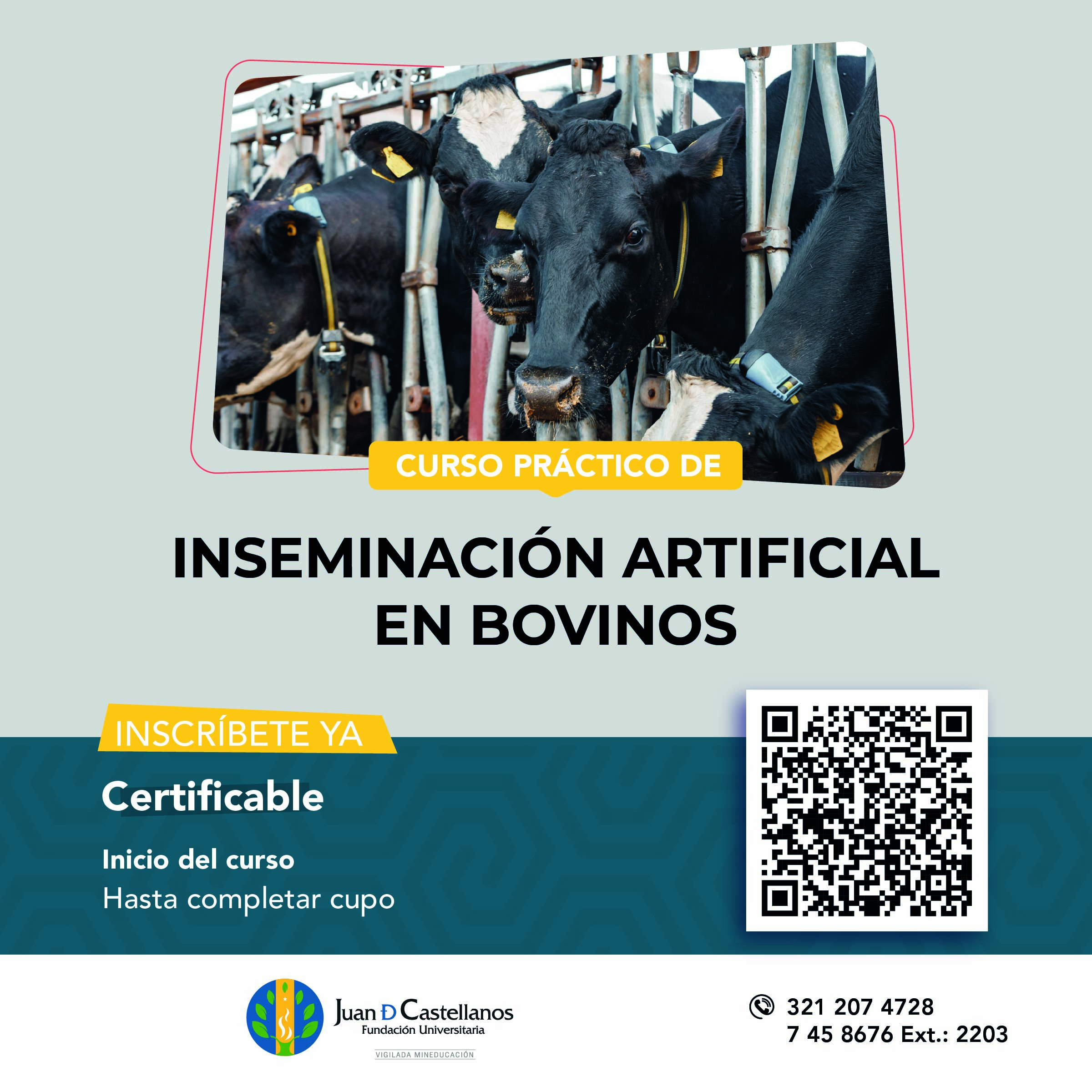 ¡Inscríbete al curso de Inseminación Artificial en Bovinos!