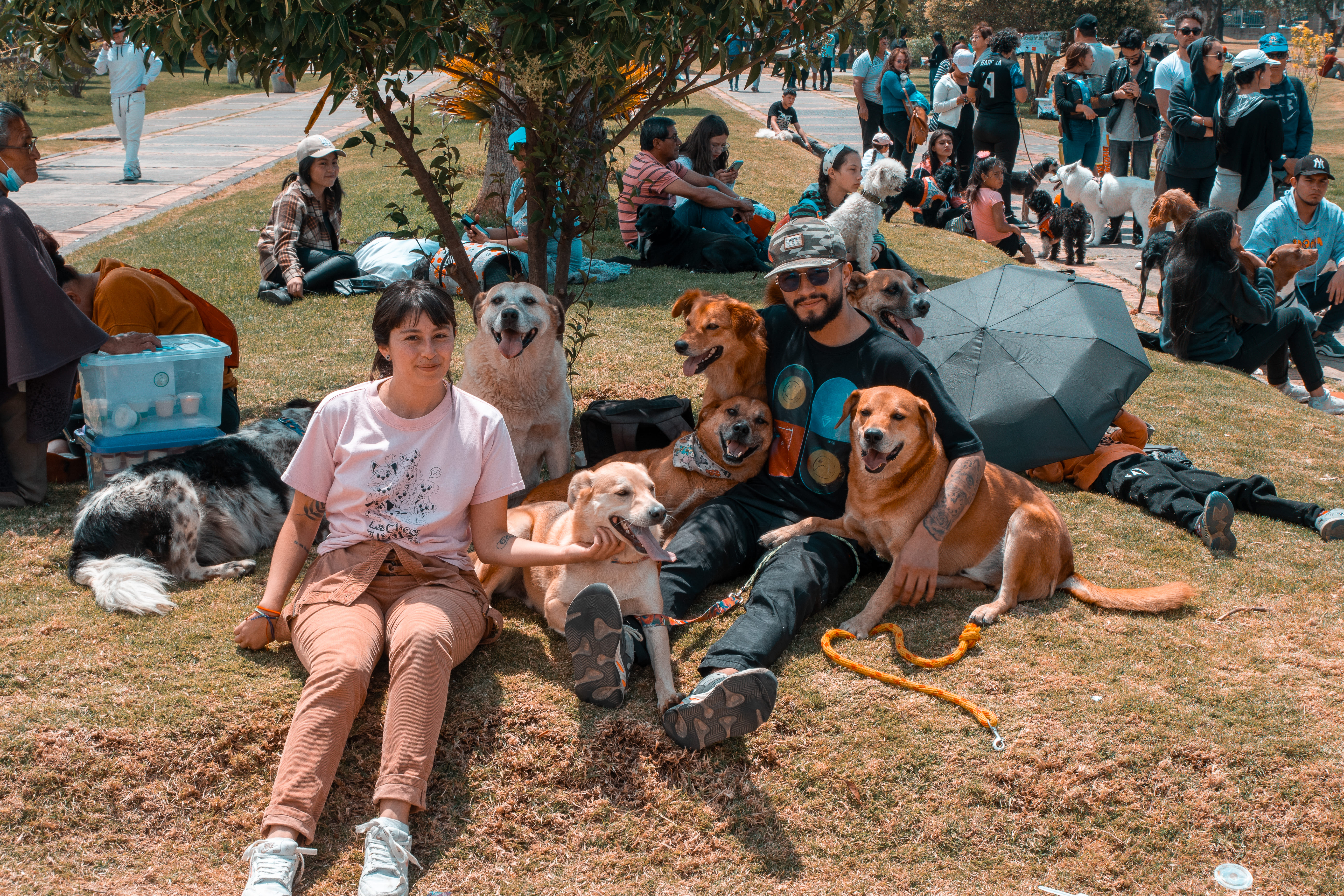 ¡Con éxito transcurrió la Feria de Bienestar y Protección Animal de la Juan! Más de 500 mascotas fueron atendidas