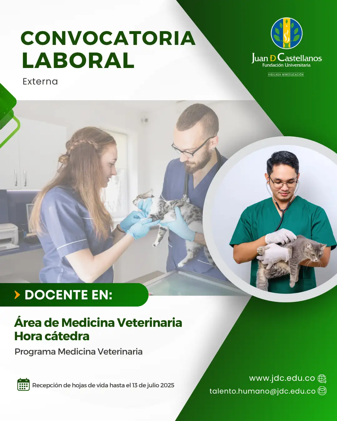Docente Cátedra (Área de Medicinas Veterinaria) - Hora cátedra