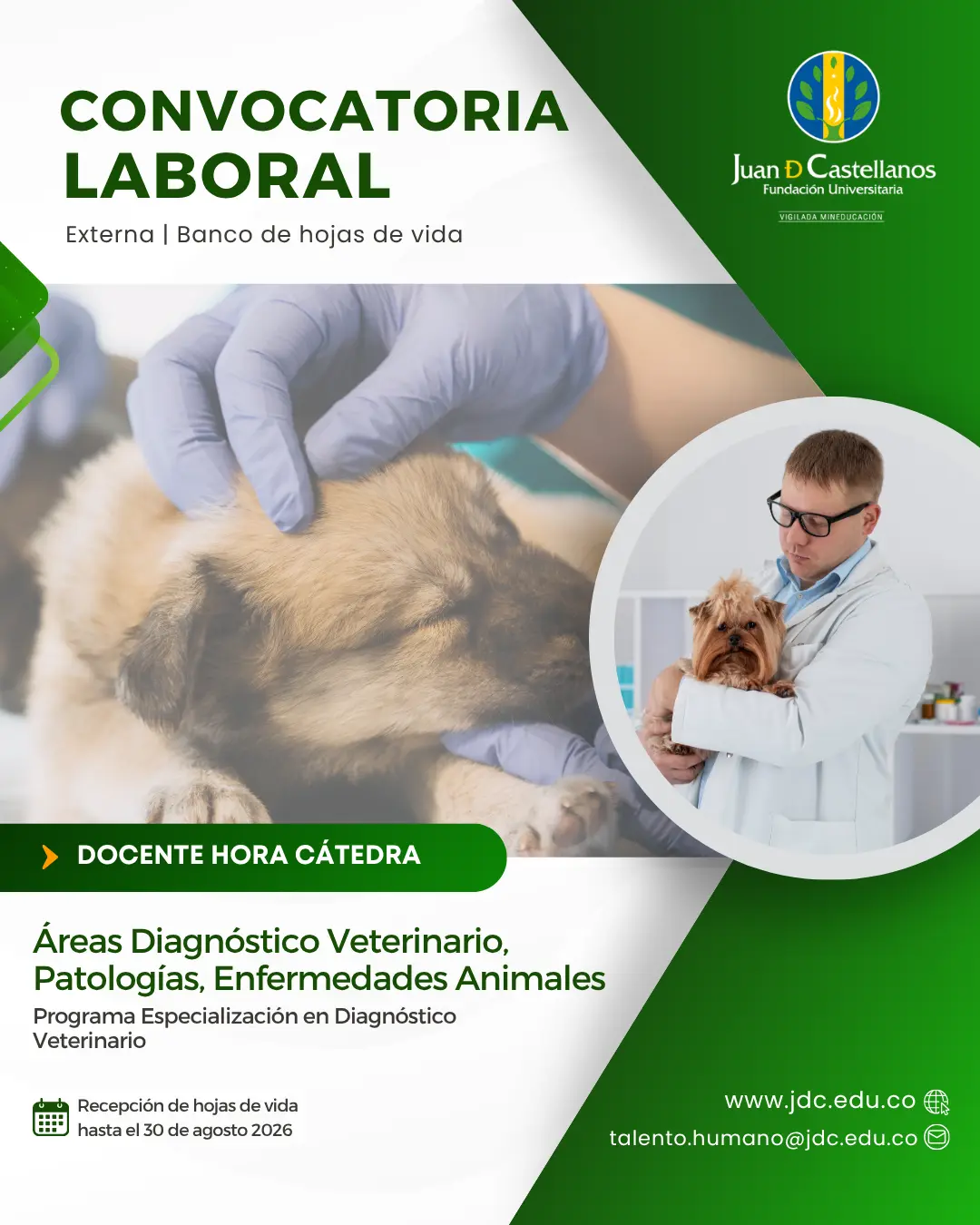 Diagnóstico Veterinario,  Patologías, Enfermedades Animales (Hora cátedra) – Especialización en Diagnóstico Veterinario (Convocatoria externa | Banco de hojas de vida)