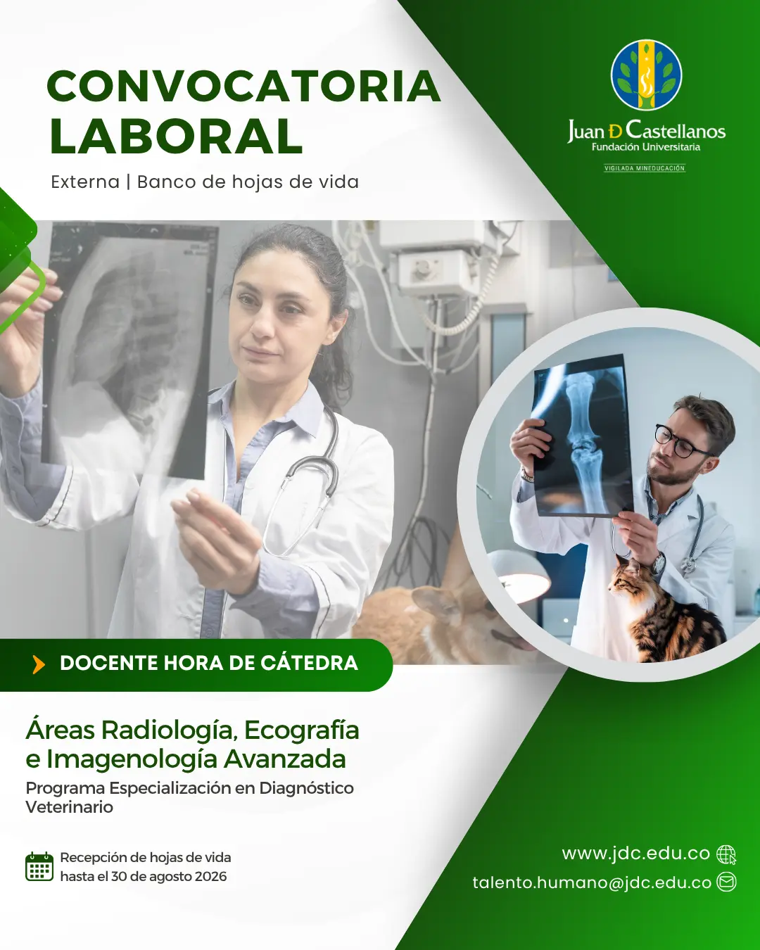 Radiología, Ecografía e Imagenología Avanzada (Hora de cátedra) – Especialización en Diagnóstico Veterinario (Convocatoria externa | Banco de hojas de vida)