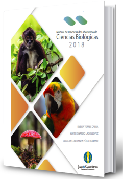 Cover of Manual de Prácticas de laboratorio Ciencias Biológicas