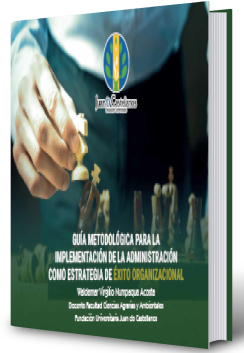 Cover of Guía metodológica para la implementación del a administración como estrategia de éxito organizacional